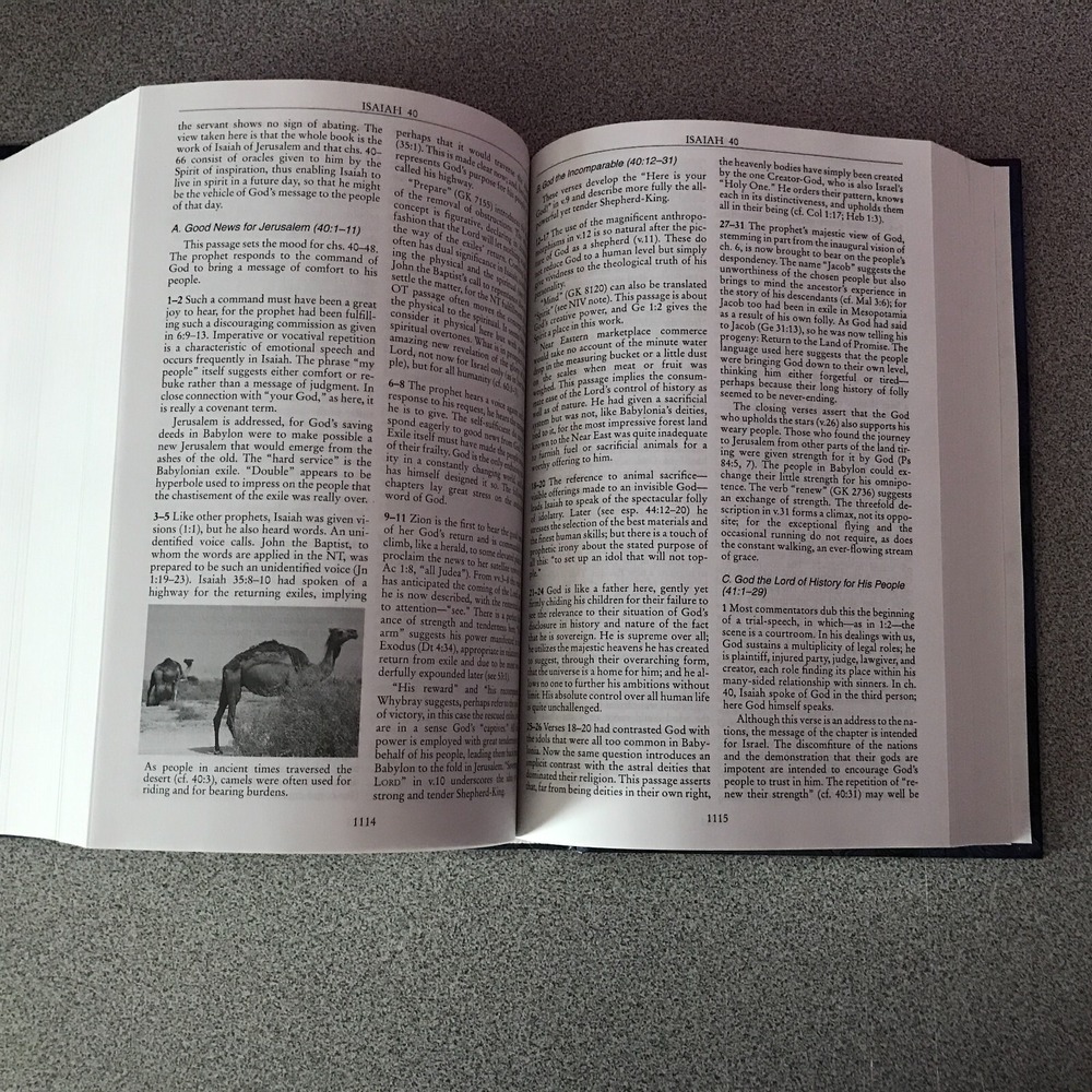 Zondervan NIV Bible Commentary Volume 1 Old Testament 1994 Hardcover - Picture 10 of 14